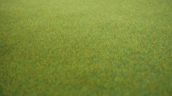 Noch 00020  - Gras mat voorjaarsweide