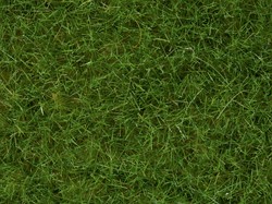 Noch 07102  - Gras wild, lichtgoen