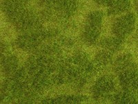 Noch 07470  - Gras mat wild Natur+