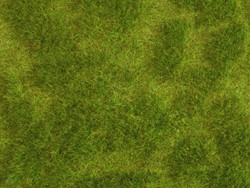 Noch 07470  - Gras mat wild Natur+