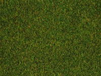 Faller 180770 H0 - Grasmat Donker Groen 100x75cm